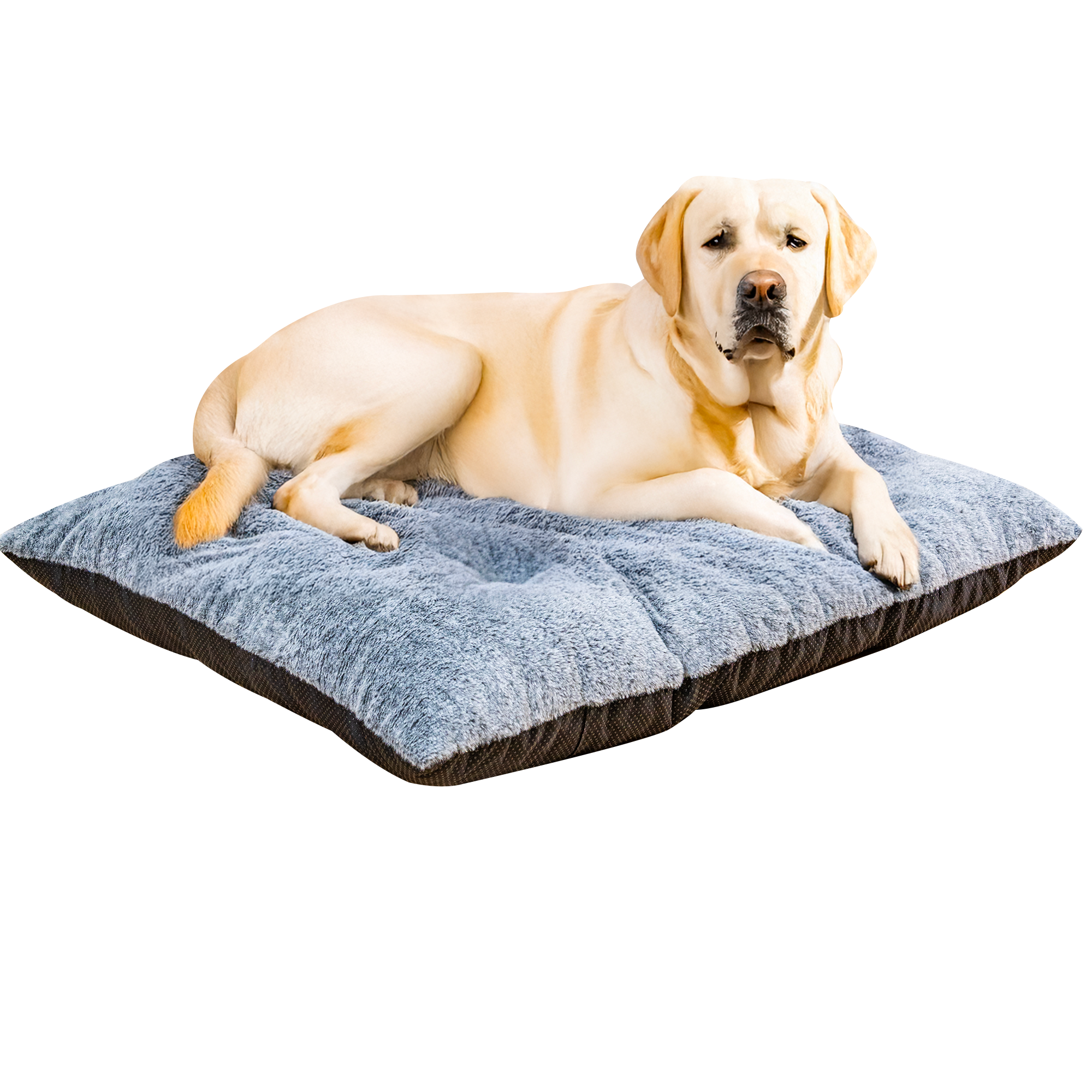 LinkRomat Washable Dog Bed for Small Dogs Dog Crate Mat 32 Inch Comfy Fluffy Kennel Pad Anti-Slip for Dogs Up to 60 lbs, 32" x 21"